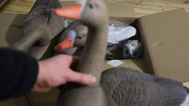 Чучела плавающие Белолобый гусь Floater Speckbelly Goose Новая Форма 2021(увеличенны ) OscarDecoys® смотреть онлайн