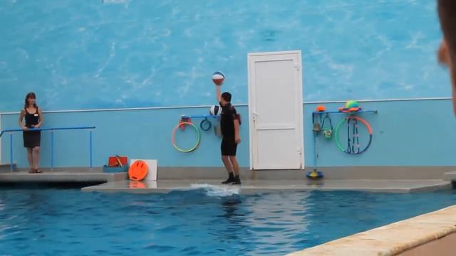 первый поход в дельфинарий 1 смотреть онлайн