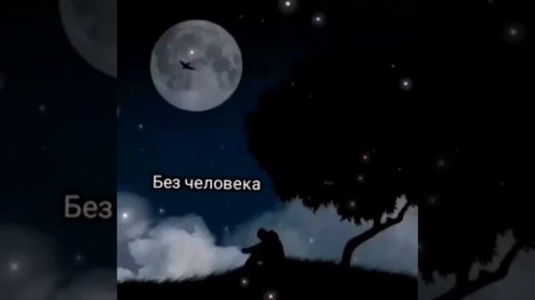 НАШИД:Mujahid ay mujahid