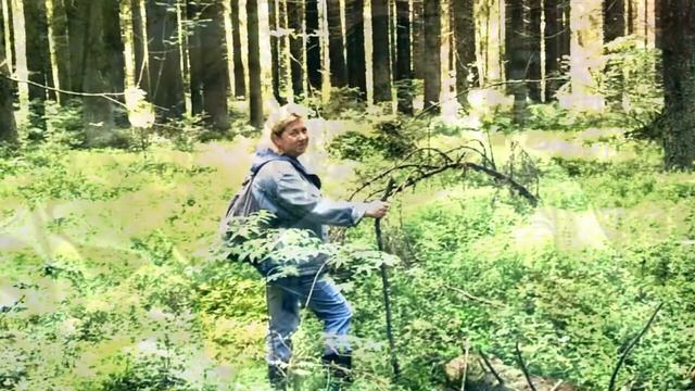 IC”Мы в лесочке