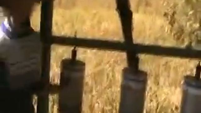 Young Bengali Girl talking to camera смотреть онлайн