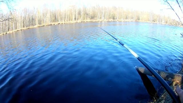 рыбалка на пруду у дома. смотреть онлайн
