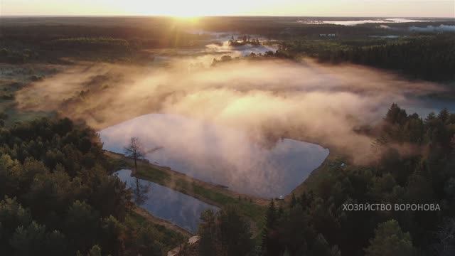 Пруд в тумане смотреть онлайн