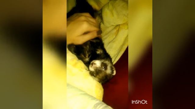 Всевидящий сон смотреть онлайн