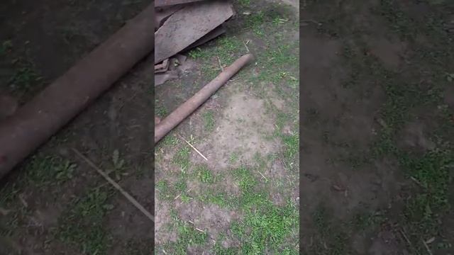 После дождика металла как грибов