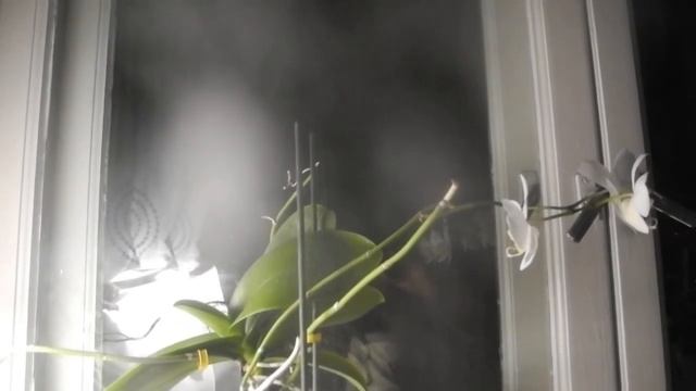 Костёр любви смотреть онлайн