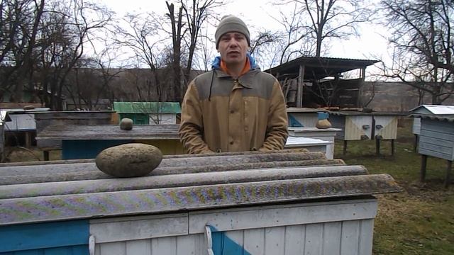 Продам сім'ї, по ціні пакетів(6-ти рамочники) смотреть онлайн