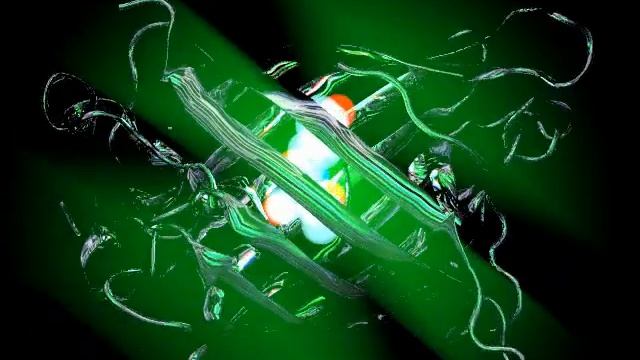 Green Fluorescent Protein (GFP) From Aequorea Victoria