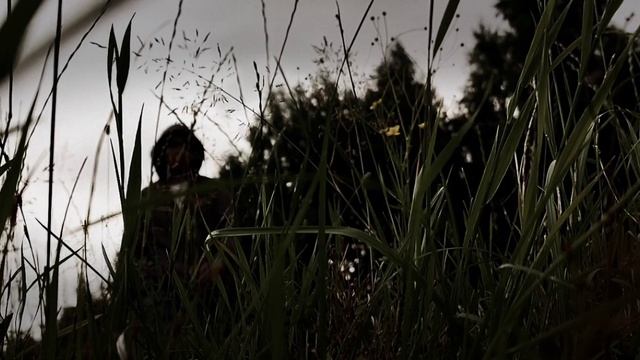 бир шер ёздим