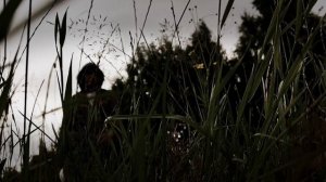 бир шер ёздим