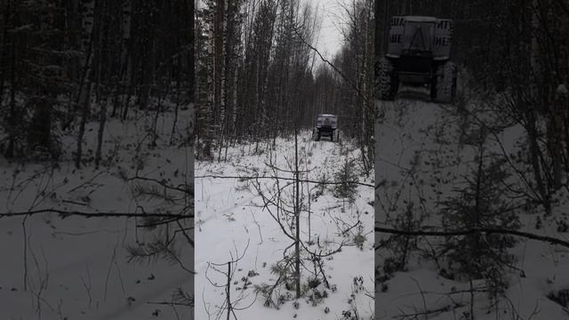 бизон смотреть онлайн