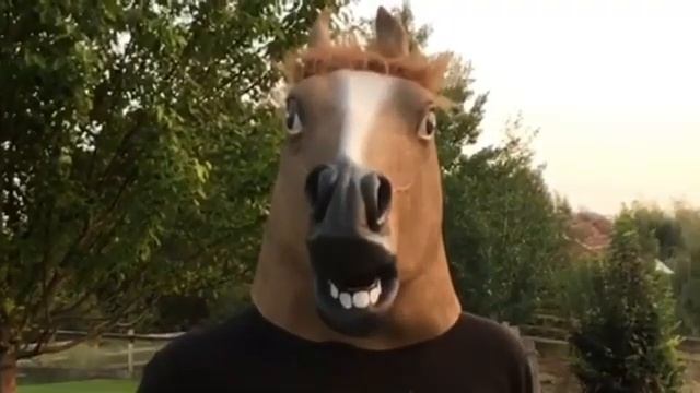 Horseman finds Love смотреть онлайн