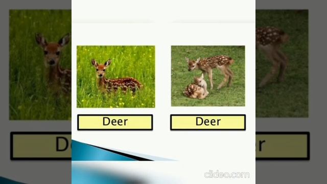 Plural of words смотреть онлайн