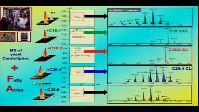 Cardiolipin And Barth Syndrome:   Valerian E. Kagan, PhD, DSc