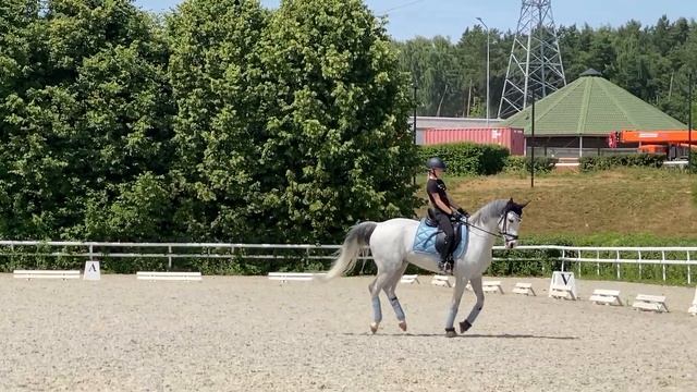 04.07.2022 Полина и пони Винджино. Тренировка с Соболевой Ольгой Олеговной смотреть онлайн