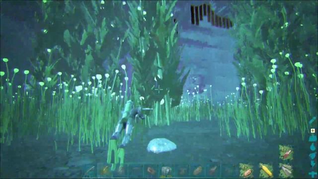 Неожиданный рейд! Митраним грибы на раге!