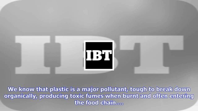 Breaking News | ‘plastic-eating’ Fungus Found In Pakistan Garbage Dump