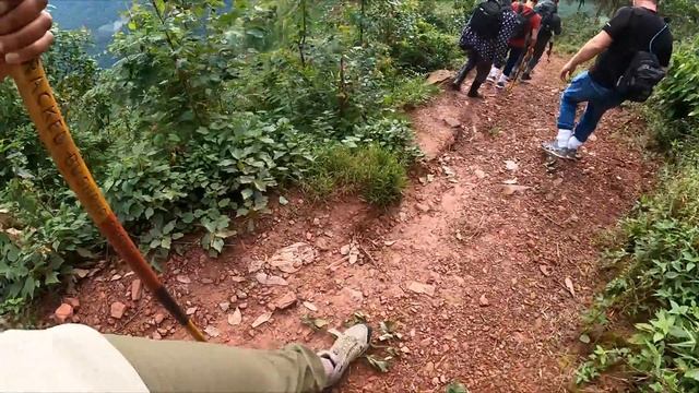Gorilla Trekking in Uganda | What It's REALLY Like смотреть онлайн