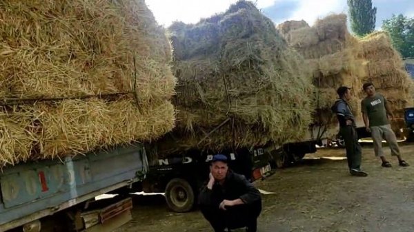 ЧОП базар басы💲😱