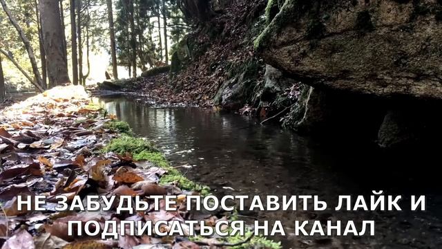 Накормил тёщу сладким...Интересные истории из жизни. Аудиорассказ