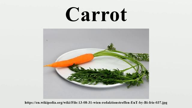 Carrot смотреть онлайн