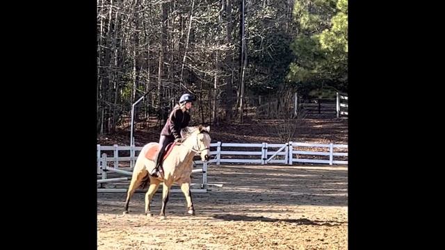 2 Years with Beau Pony! |BEAU-tiful Pony| смотреть онлайн