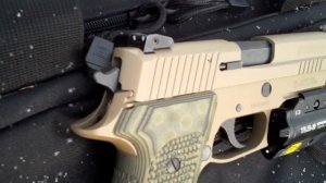 Sig Sauer P220 Scorpion Elite in .45acp - TheFireArmGuy
