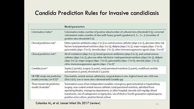 Invasive candidiasis: Risk factors – Prof Yee-Chun Chen смотреть онлайн