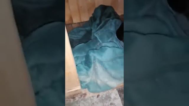 Наша маленькая ферма растёт смотреть онлайн