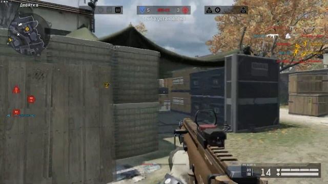 Чайный гриб