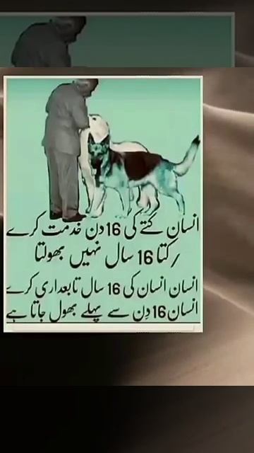 Wafadari