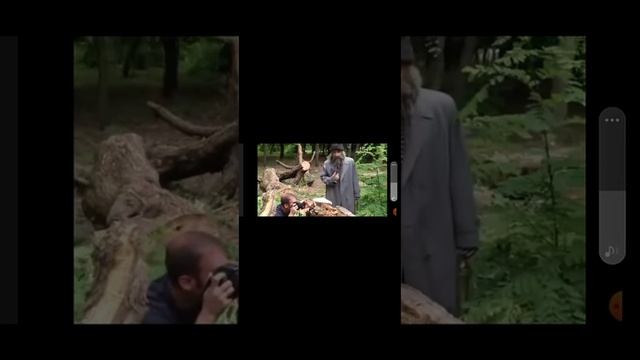 сказочный 🍄 гриб смотреть онлайн