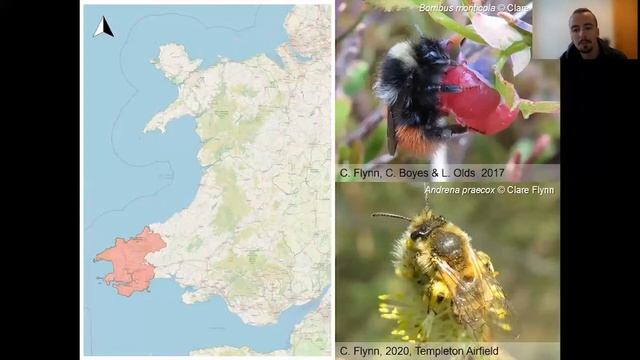 Aculeates in Wales - Liam Olds смотреть онлайн