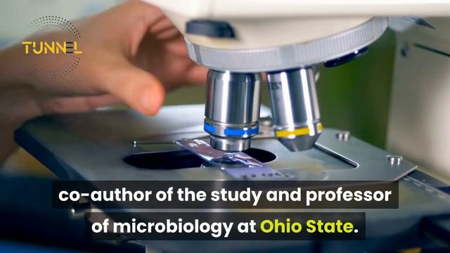 15000 Year Old Viruses Never Seen By Humans Discovered | China Ancient Virus |dino Virus | USA Toda