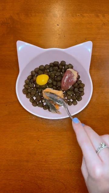 Healthy dog & cat food toppers 🫀🍣 #shorts смотреть онлайн