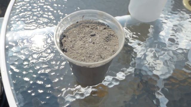 Огородничество Выпуск #32 | Супер ПОДКОРМКИ для ОГУРЦОВ творят чудеса! Большой УРОЖАЙ  Гарантирован