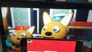 3 ката на разных языках мира 🌍