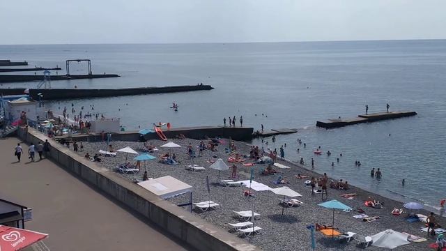 Внезапный визит дельфинов. 21.08.2022 смотреть онлайн