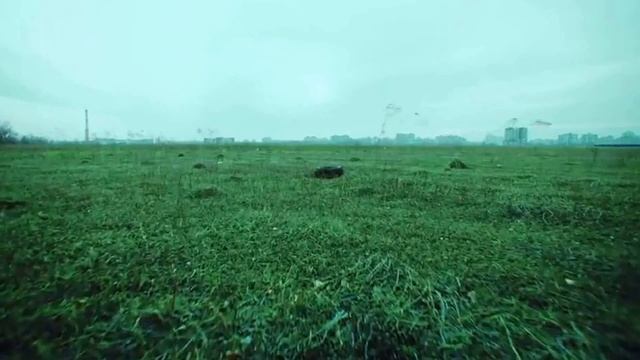 Грибы - Тает лёд (2017)