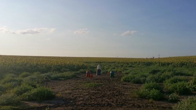 Korsair 50000 In 50 Kg Of Flour🧨 The Worlds Biggest Corsair