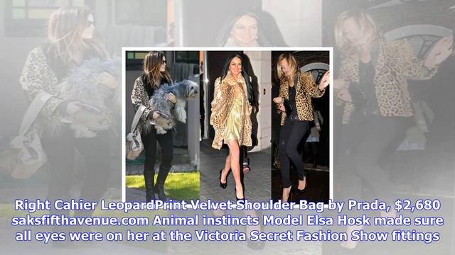 Breaking News | Celebs love leopard prints this fall смотреть онлайн