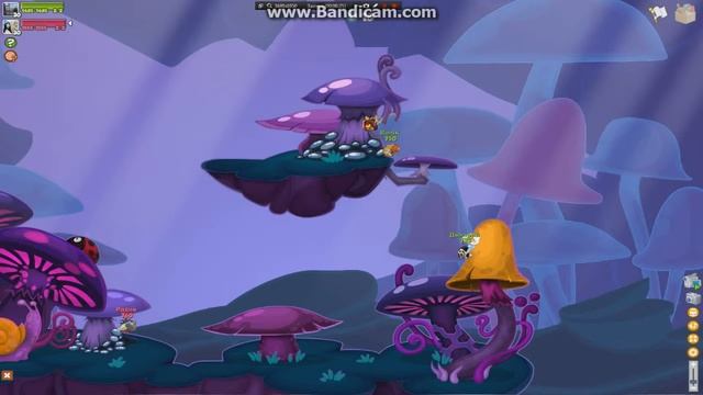 выносы на карте грибы