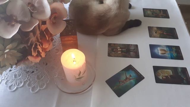 Таро прогноз на 2021 г. август мес. ЛЕВ♌ смотреть онлайн