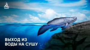 Как выходила жизнь из ВОДЫ на СУШУ?
