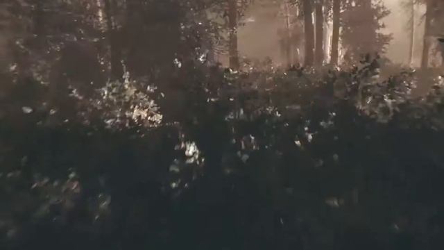 Хоррор и Бабень под грибами смотреть онлайн