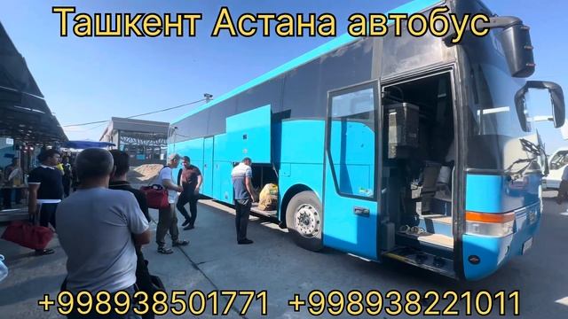 ташкент караганда автобус прямой рейс смотреть онлайн