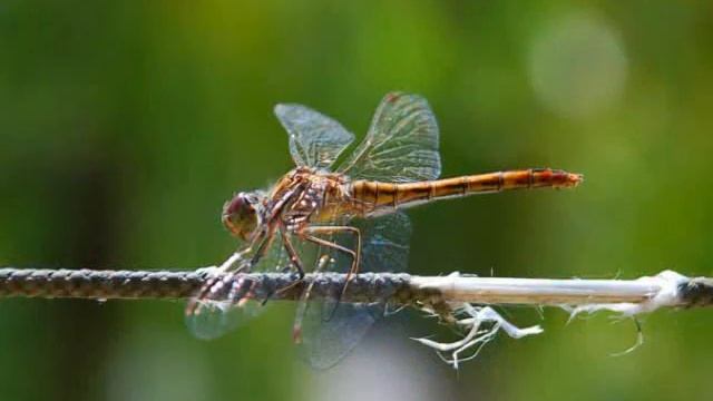 my photos смотреть онлайн