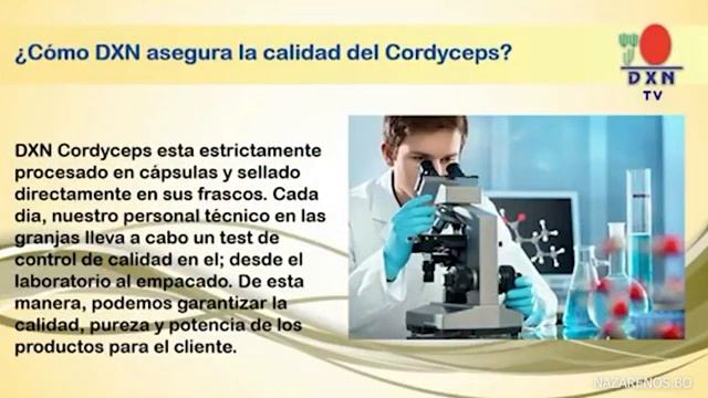 BENEFICIOS DEL CORDYCEPS COFFEE DXN смотреть онлайн