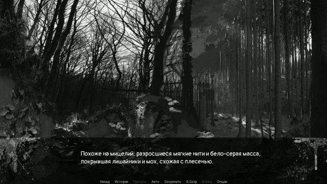 Locked Up #1 | Сначала я шёл за грибами... смотреть онлайн