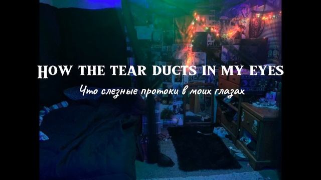 Dazey And The Scouts – Wet (eng, Rus Sub) перевод на русский, Lyrics